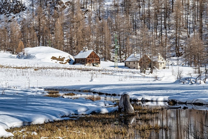 Woodland Cabin