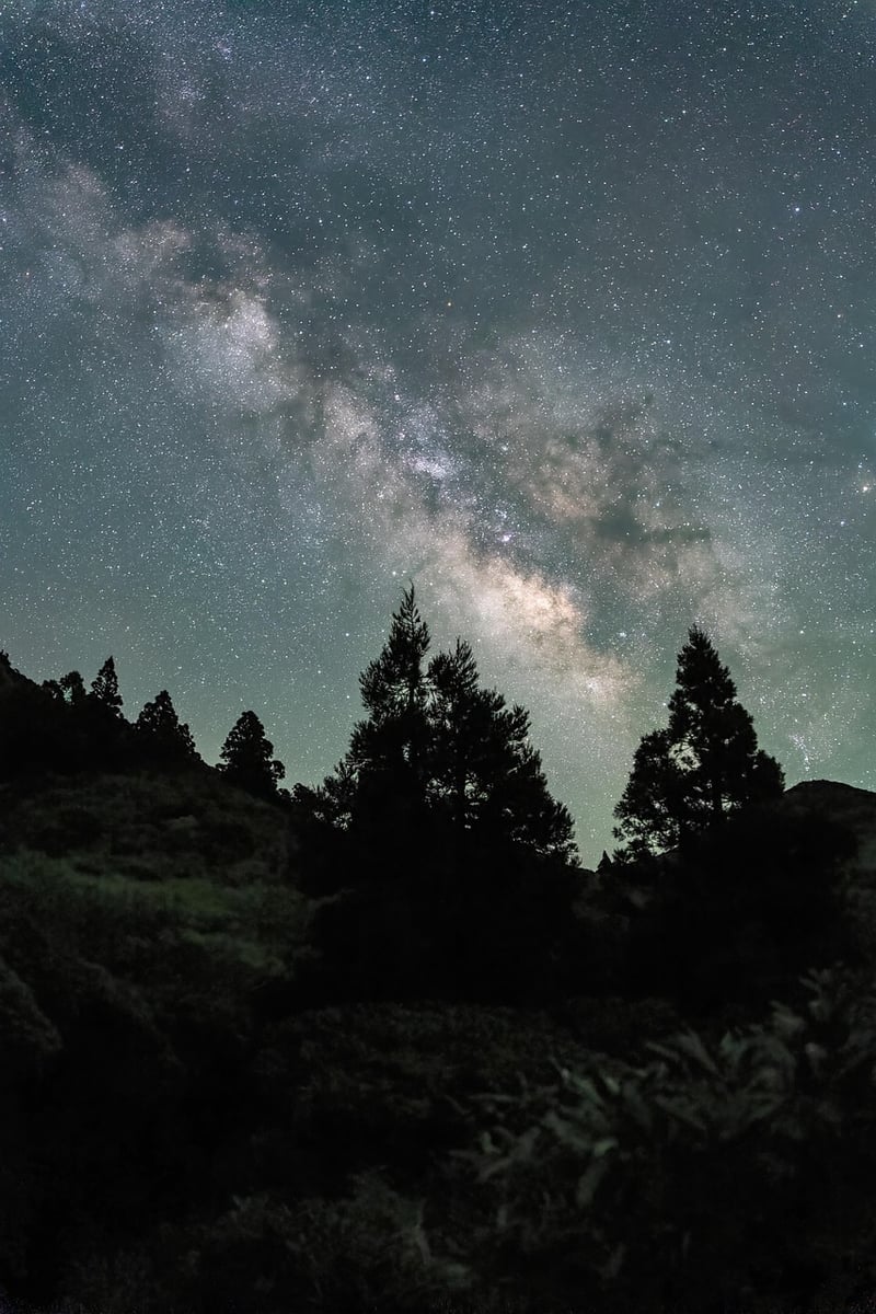 Starry Sky Camping