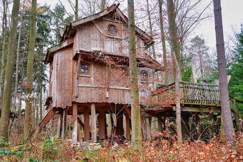 Enchanting Treehouse in the Forest